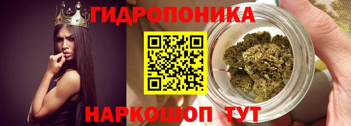 Шишки марихуана конопля  Канабис VHQ  Вход с VPN  Лабытнанги  МАРИХУАНА семена  Бошки марихуана OG Kush 